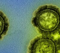 Два штами людського грипу могли зникнути