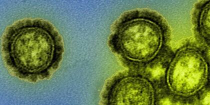 Два штамма человеческого гриппа могли исчезнуть