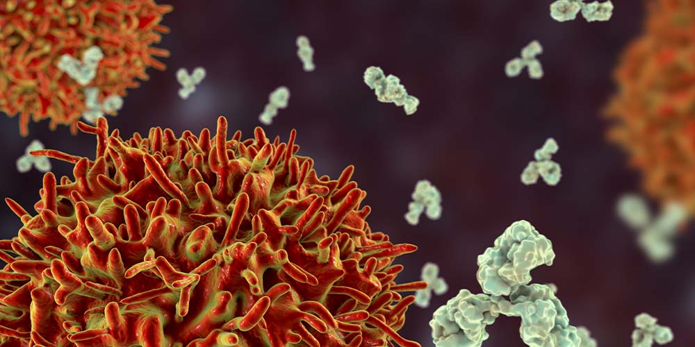 Вероятно, что у некоторых людей антитела к коронавирусу будут сохраняться всю жизнь