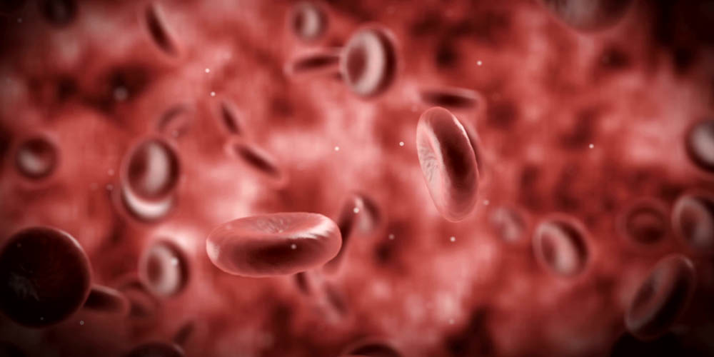 Ученые поняли, как образовываются сгустки крови
