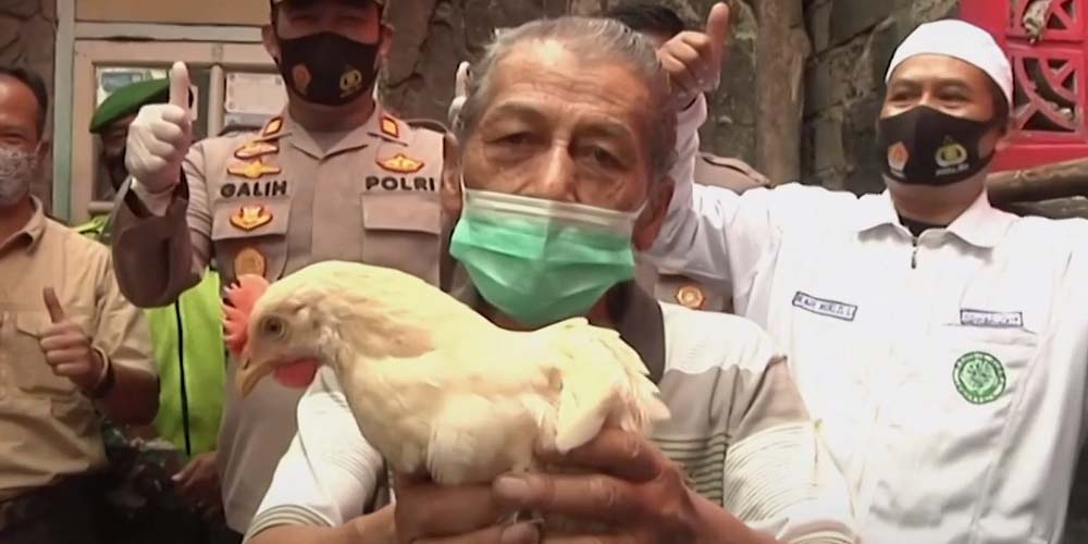 В Индонезии сделавшим прививку от COVID-19 дарят курицу