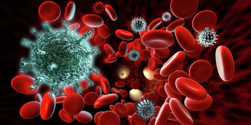 COVID-19 приводит к длительным изменениям в клетках крови