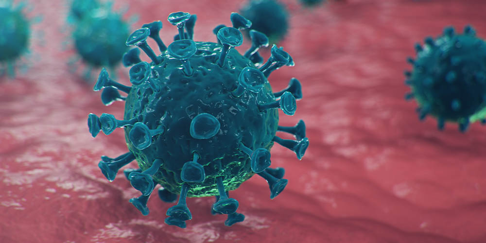 В ближайшие 4 месяца прогнозируют еще 22 мутации коронавируса