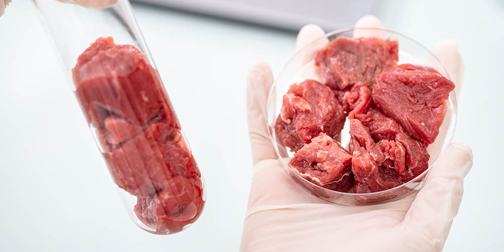 Выяснилось, что заменители мяса очень уступают натуральному мясу в питательности