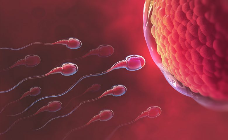 В сперматозоидах нашли опасные мутации