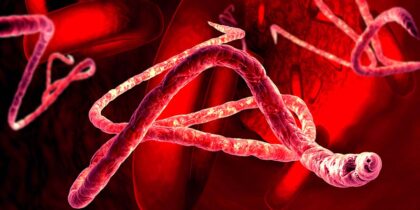 Вирус Эбола может спать в организме и спустя годы вызывать новые вспышки заражения