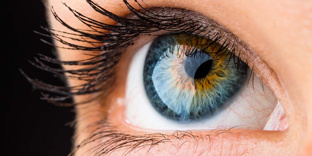 Турецкие и британские исследователи: по роговице глаза можно установить последствия коронавируса