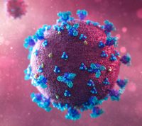 Ученые из США выяснили, что интерферон бета-1а особо не влияет на течение коронавируса