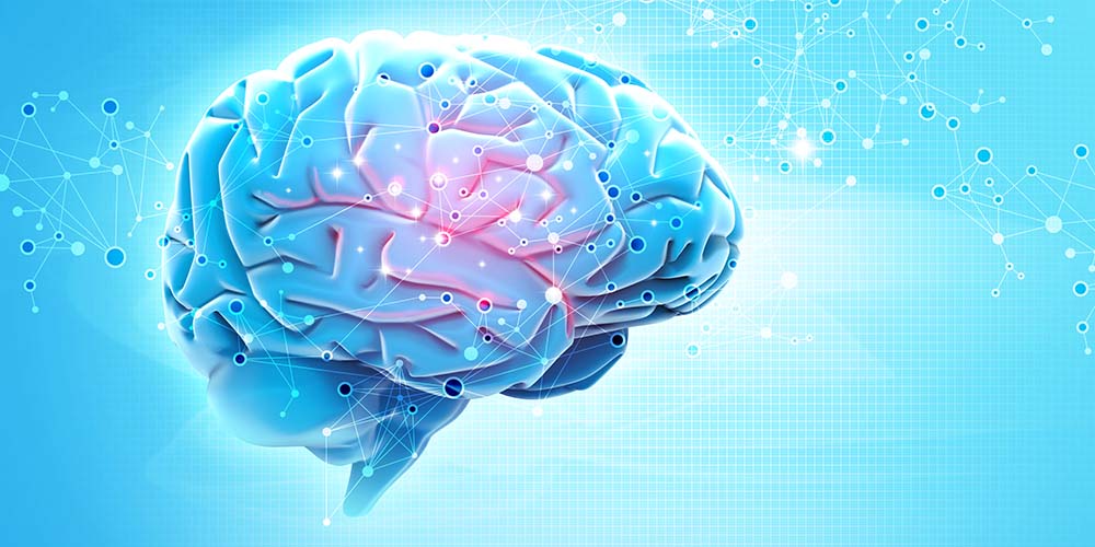 Найдены сенсоры мозга, благодаря которым люди растут выше
