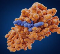 Что такое 3CL протеаза и почему ее блокирование играет ключевую роль в борьбе с COVID-19?
