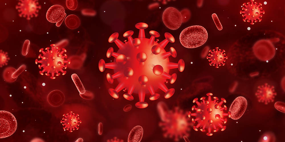 Иммунитет против COVID-19 могут укрепить менее заразные и опасные коронавирусы