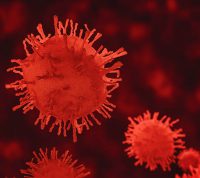 Непрофессионализм власти и антивакцинаторы: на Интернет-Вече определяют ответственных за смертность от коронавируса