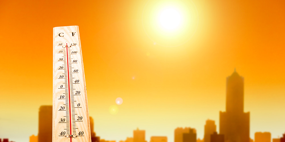 От последствий сильной жары страдают не только люди старшего возраста