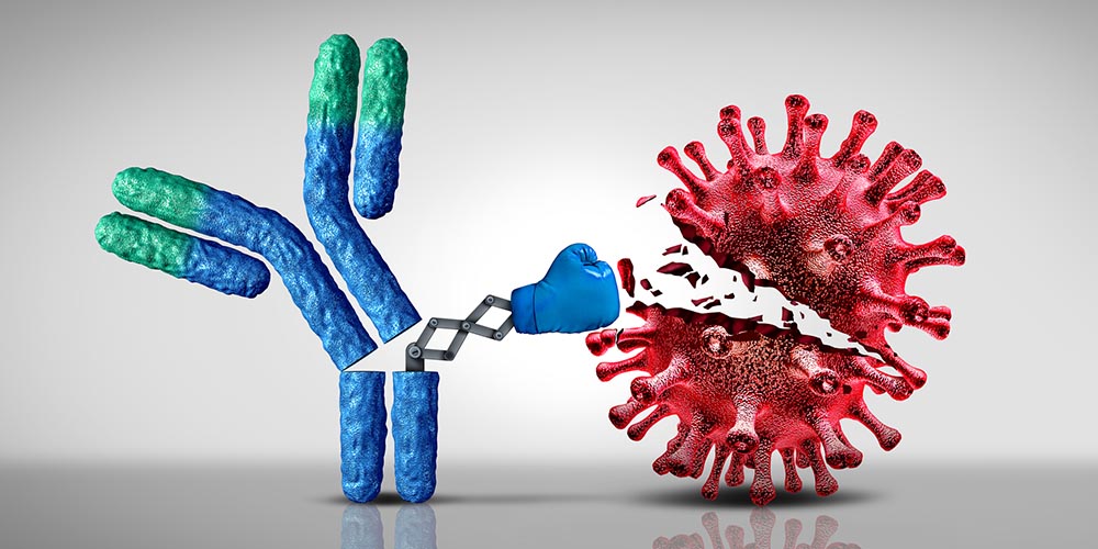 Ученые вычислили антитело против COVID-19 и его вариантов