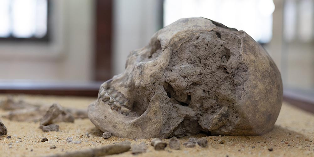 У древнего неандертальца обнаружен «родственник» коронавируса