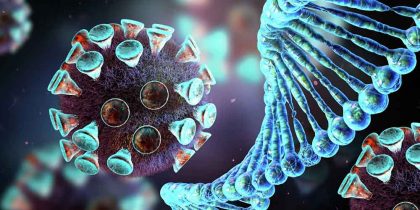 Изучат новый коронавирус NeoCoV: появление всего одной мутации в геноме может сделать его опасным для человека
