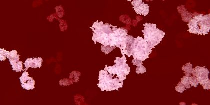 Антитела после COVID-19 могут атаковать здоровые клетки: ученые