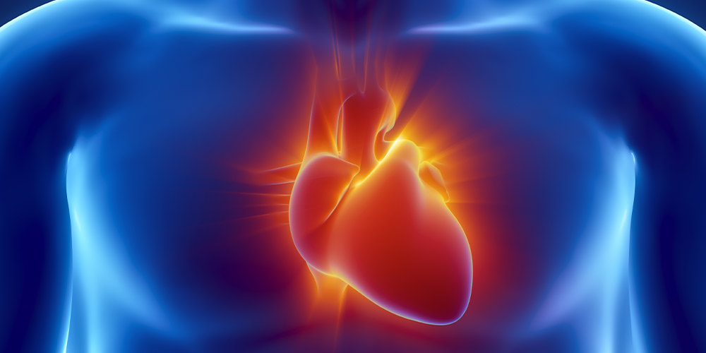 Исследователи обнаружили ранее неизвестную генную мутацию, которая может вызывать неизлечимое заболевание сердца