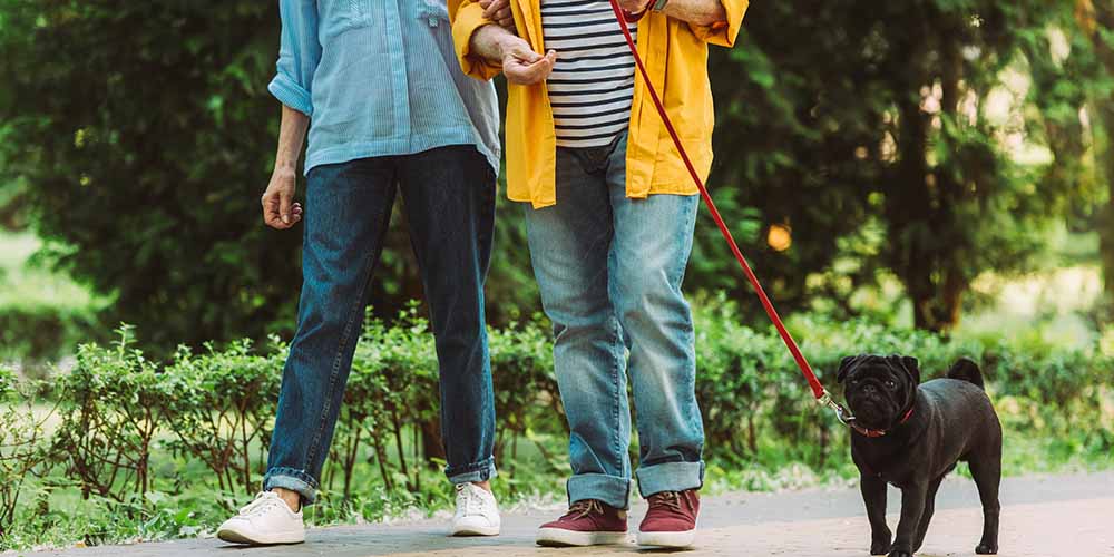 Регулярная и интенсивная ходьба может помочь предотвратить диабет II типа у людей 70-80 лет