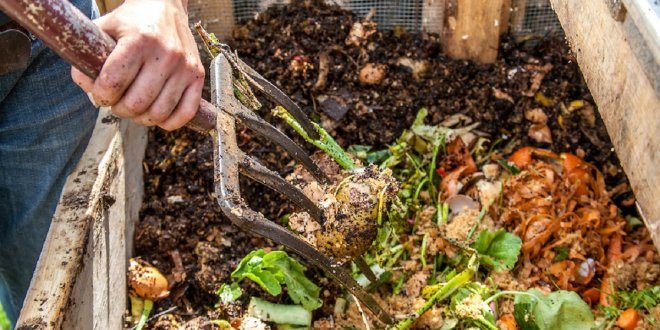 Работа с компостом может создавать риск для здоровья