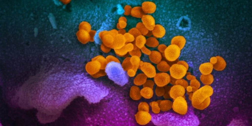 Китайські вчені створили миттєвий тест на коронавірус, який не поступається ПЛР