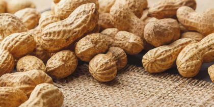 Ученые нашли новые способы борьбы с аллергией на арахис у детей
