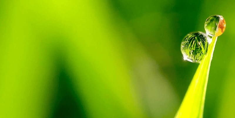 Щоденні маленькі кроки до здорових слизових